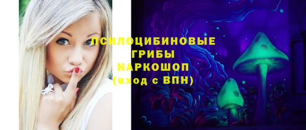 шишки Алзамай