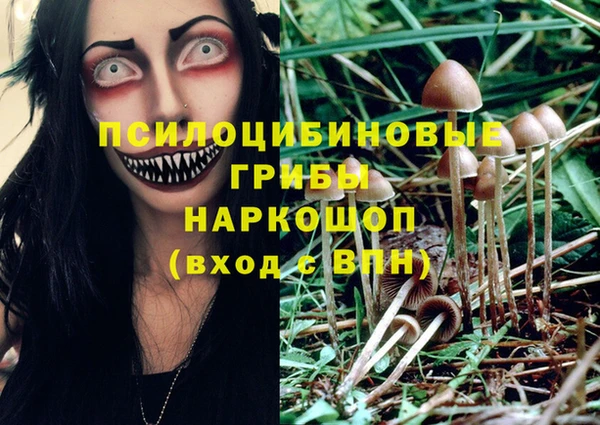 первитин Алексеевка