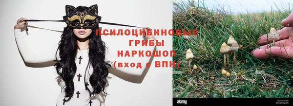 таблы Ростов