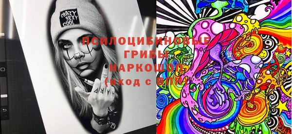 шишки Алзамай